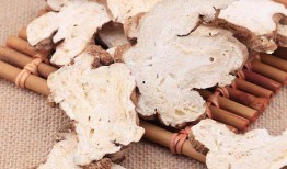 最新白术爆料新闻,揭秘娱乐圈幕后真相