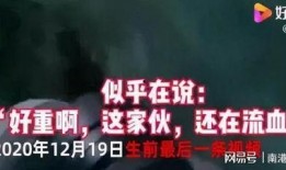 网友爆料王相军视频,揭秘背后真相