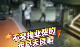 新疆热门爆料新闻报道视频,揭秘神秘事件背后的真相